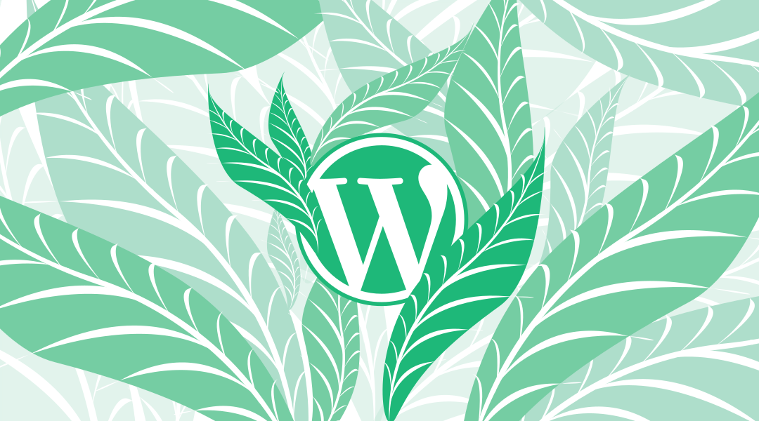 Pour la rentrée, si vous passiez votre site WordPress au bio ?