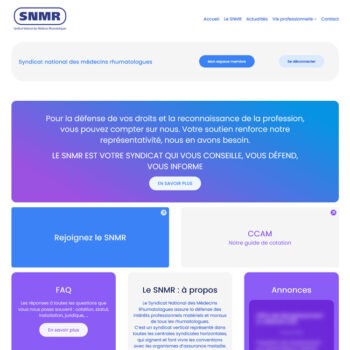 Projet SNMR présentation vue accueil