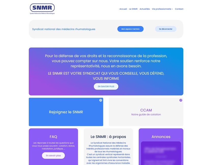 Projet SNMR présentation vue accueil